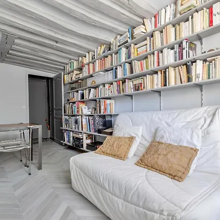 Duplex Marais - 2 Chambres, 5 Lignes Metro