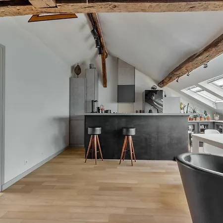 Apartment Duplex Marais - 2 Chambres, 5 Lignes Metro